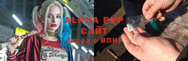 сатива Арсеньев