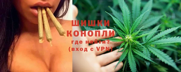 сатива Арсеньев